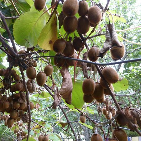 Le Bourmier Anlhiac Near Excideuil Villa ภายนอก รูปภาพ