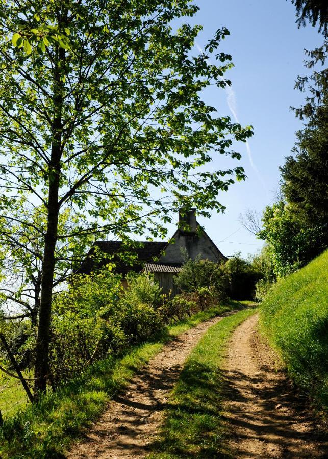 Le Bourmier Anlhiac Near Excideuil Villa ภายนอก รูปภาพ